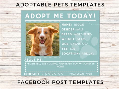 pet foufe|Dogs for adoption